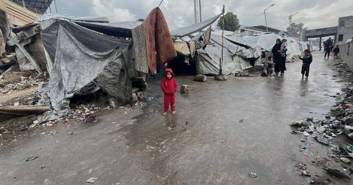 El gobierno provisional de Gaza, dirigido por Trump, se conformará a principios de 2026