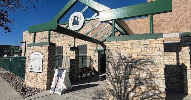 Giving a pet as a gift for the holidays