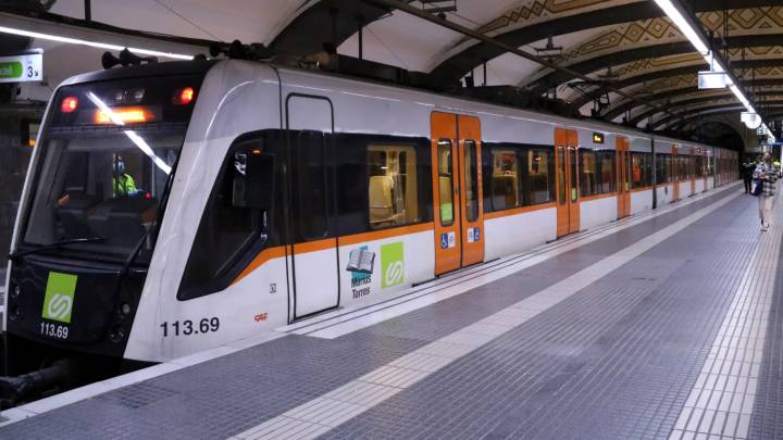 El atropello de un jabalí interrumpe la S2 de FGC y activa los protocolos de la peste porcina