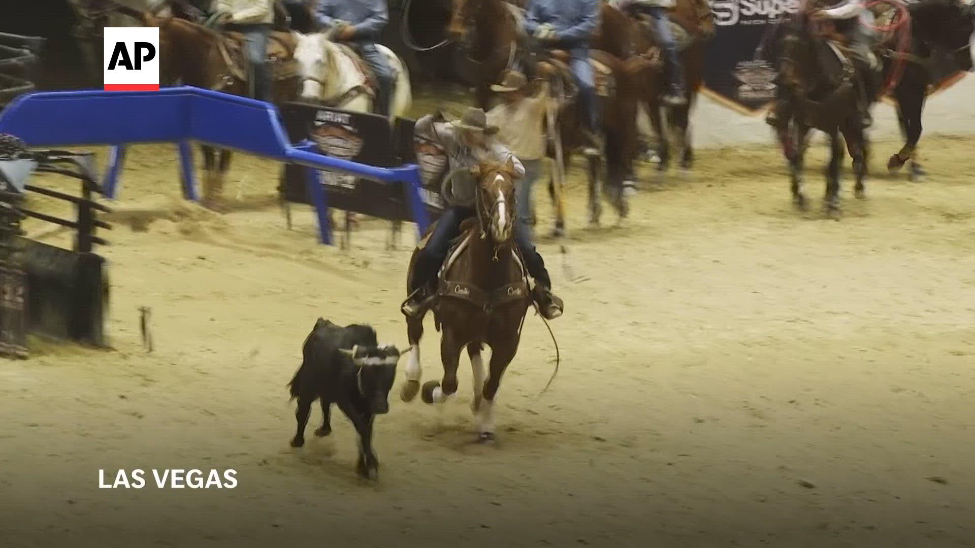 Threat of equine virus looms over nation's largest rodeo event in Las Vegas