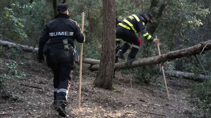 Un equipo de forestales madrileños viaja a Barcelona para ayudar a atajar el brote de peste porcina