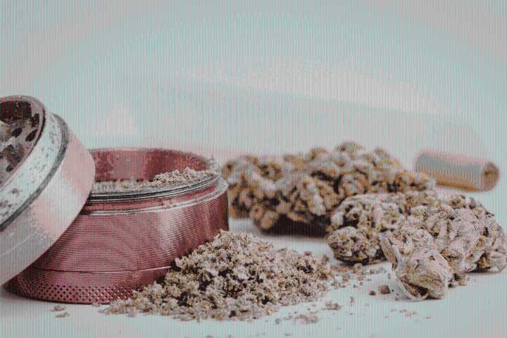 How to Tell If Your Weed Is Good, Mid, or Actually Trash