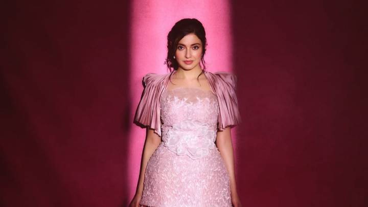 Divya Khosla shuts divorce rumours with Bhushan Kumar: Bollywood has crocodiles