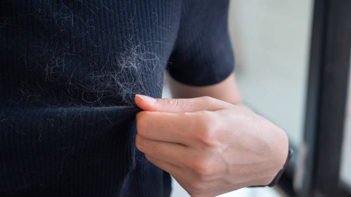 Ni aspiradora ni quita pelusas: cómo eliminar los pelos de tu gato o perro del sillón y la ropa