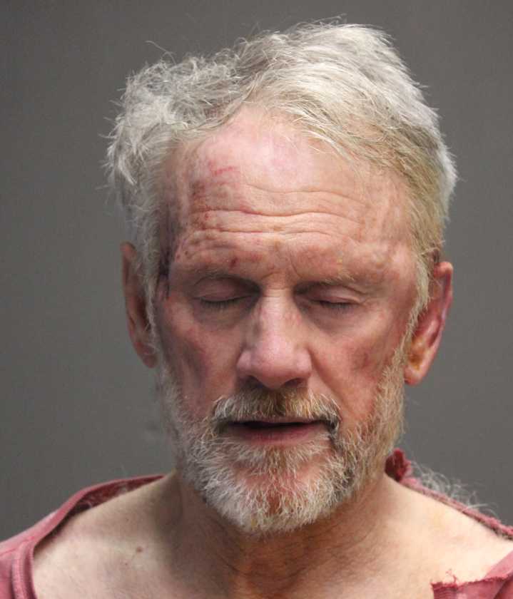 Westfield man charged with drowning nursing cat in custody