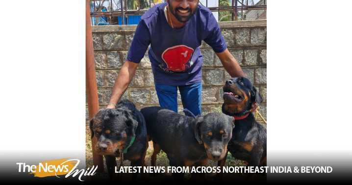 Karnataka: Davanagere woman dies after brutal Rottweiler attack; dog owner arrested