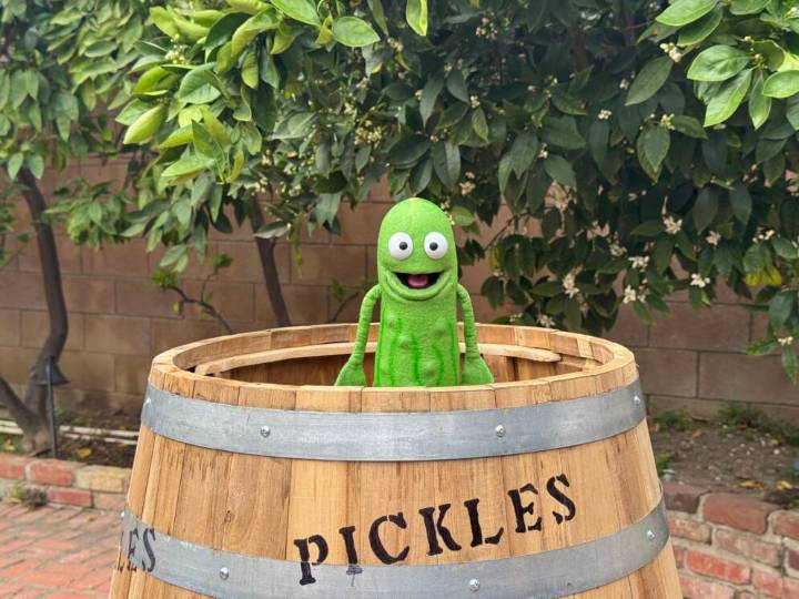 New Online Jewish Children’s Show Is a ‘Big Dill’