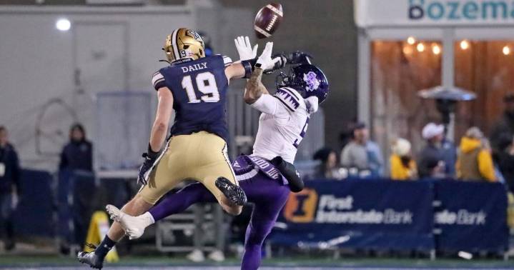 Three takeaways: Big third-down plays help Montana State beat SFA, return to FCS semis