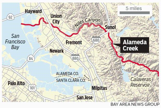 Salmon returning to Bay Area creek for first time in 70 years could be sign of environmental renewal to come