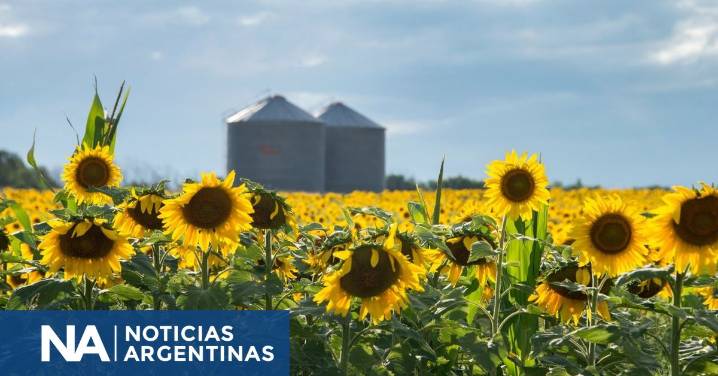 El Gobierno oficializó finalmente la baja de retenciones
