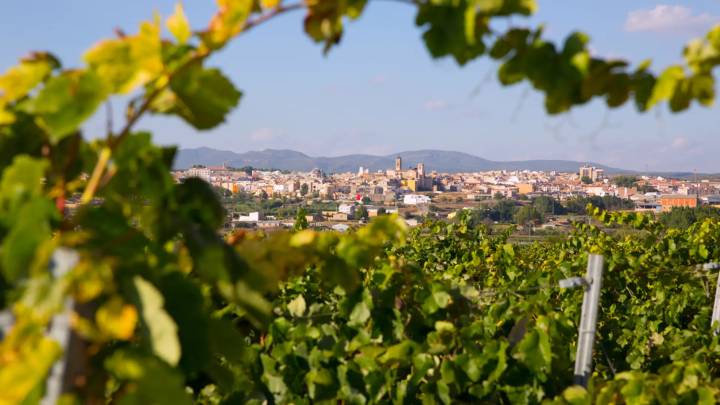 La localidad nombrada Ciudad Española del Vino 2026: un rico patrimonio histórico y lugar de nacimiento de Pablo Motos