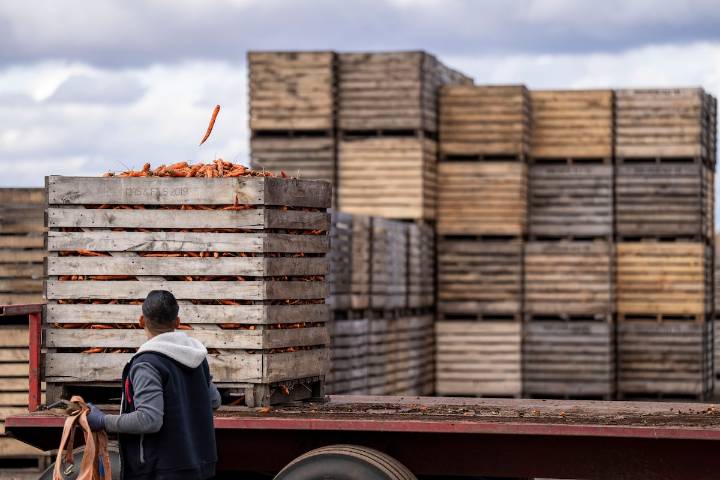 Canada’s economic activity contracted in November, Ivey PMI shows