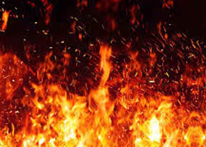 Forest fire triggers landmine blasts along LoC in J&K’s Poonch