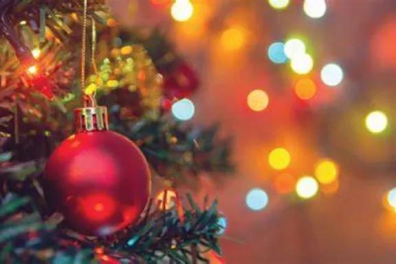 Decoración navideña: arbolitos y adornos subieron 12% anual, según Focus Market