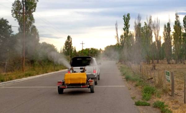 Avanza el plan municipal de fumigación en Rawson y Playa Unión