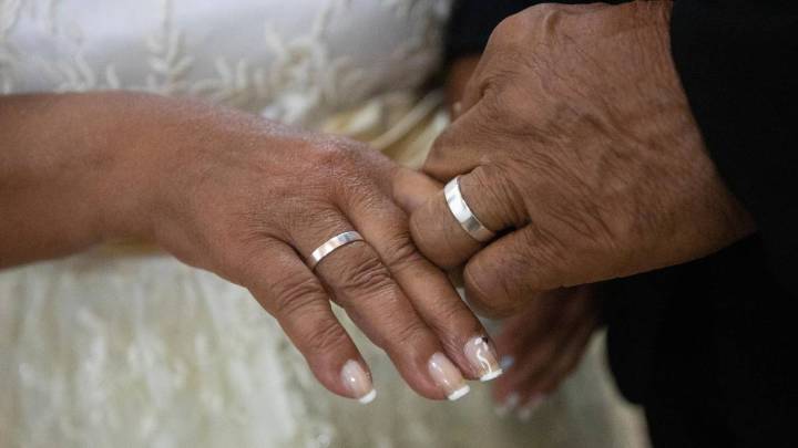 Estudio revela cuáles son las especies más fieles a sus parejas, ¿en qué puesto quedamos los humanos?