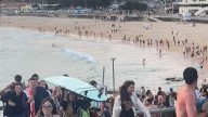 Jewish event at Bondi Beach turns into bloodbath after gunmen shoot dead 11 people Updates