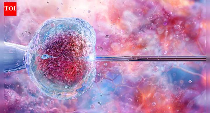 Ordering A Baby Who’ll Grow Up Smart & Tall. Is That A Problem?