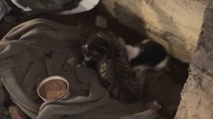 Construction Team In New York Encounters A Hidden Struggle That Leaves Them Determined To Help