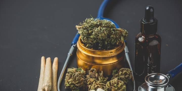 Cannabis terapéutico: en qué tres enfermedades hay evidencia y por qué alarma la automedicación