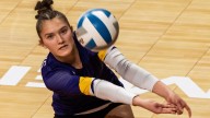 Dandy Dozen: Area high school volleyball standouts named all