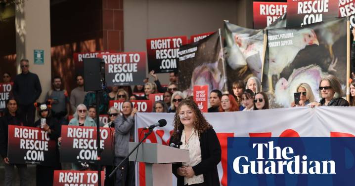 US student who took four chickens after breaking into a farm sentenced to 90 days in jail