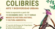 “Colibríes, Arte y Biodiversidad urbana": ¿Cuándo estará la nueva exposición temporal en el Museo de Historia Natural y Cultura Ambiental?