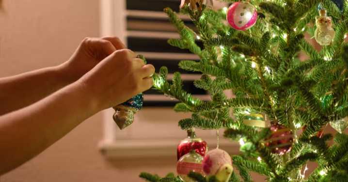 ¿Por qué se arma el arbolito de Navidad el 8 de diciembre?