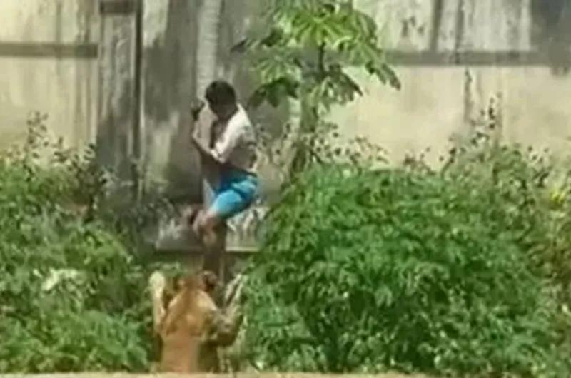 Quién era el joven que murió tras ser atacado por una leona en un zoológico