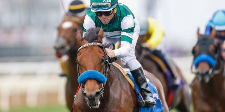 La Justicia ditcaminó que un club hípico es responsable por la caída de un jockey durante una carrera