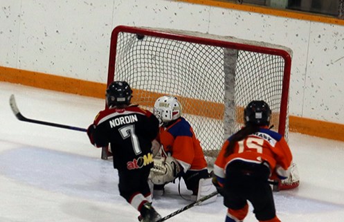 U11 Cobras finish a strong second at home tournament