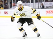 Alessandro Di Iorio to captain Sarnia Sting