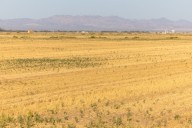 Wife of Southern California farming magnate shot dead amid ongoing divorce