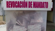 Aprueban hacer consultas para revocación de mandado