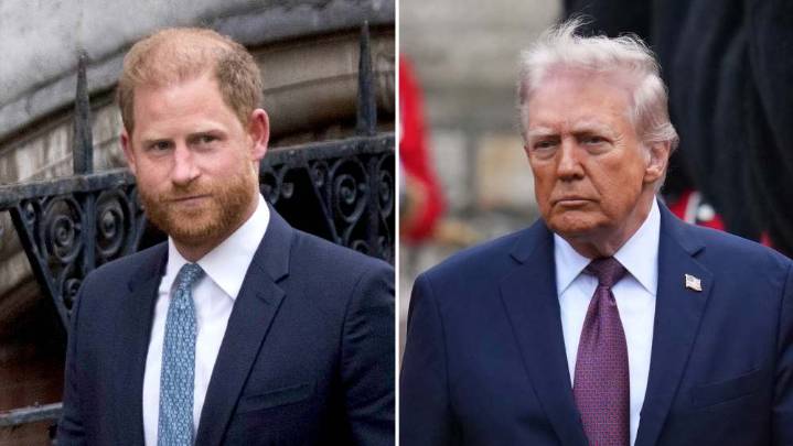 Prince Harry Takes a Shot at Trump: America Is ‘Obsessed’ With Royalty