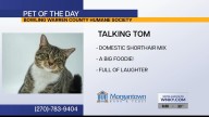 Pet of the Day: Talking Tom