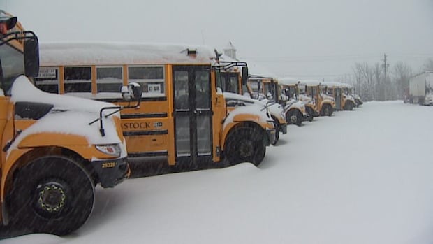 Essex County, Chatham-Kent and Sarnia-Lambton school buses cancelled — but not Windsor