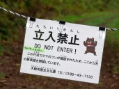 Japan bear victim's watch shows last movements