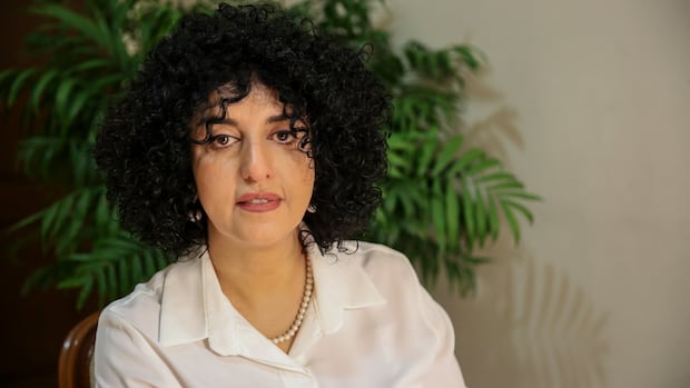 Nobel Peace Prize laureate Narges Mohammad detained again in Iran, supporters say