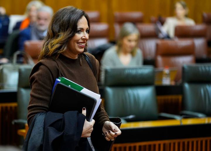 El Parlamento aprueba Ley de Vivienda con los únicos votos favorables de PP