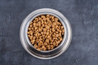 Retiran comida para perros en varios estados por contaminación con plástico