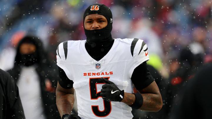 Tee Higgins won't play against the Ravens