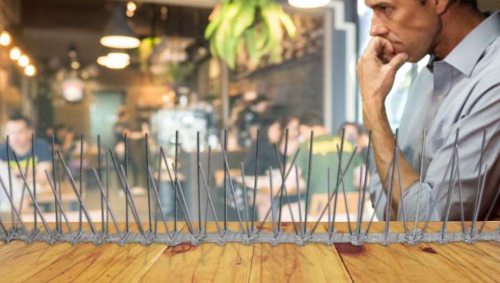 Shop Owners Begin Installing Spikes To Prevent Beto O'Rourke From Perching On Tables, Countertops