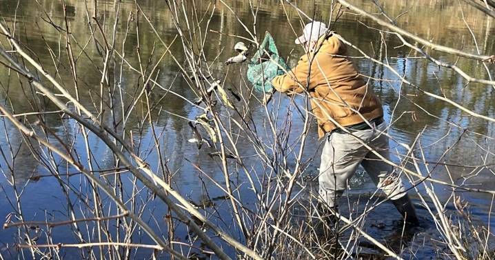 PHOTOS: Trout return to Clemmons Lake at Ivy Creek Park