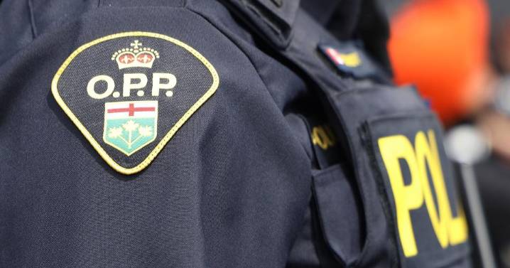 Puslinch man charged after intimate partner violence case