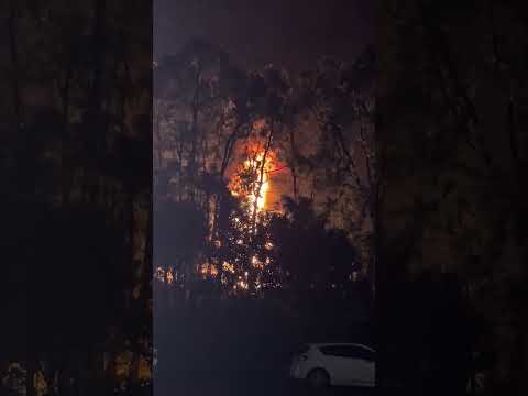 ‘Back Up, Back Up!’ Massive Fireball Explodes at Sydney Waste Facility