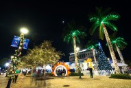 Dancing lights and festive displays light up Coral Springs