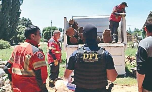 La Policía desarticuló una red de actividad forestal ilegal en la Comarca Andina