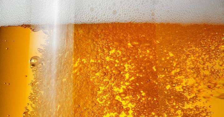 Yuengling beer to expand into Wisconsin in early 2026