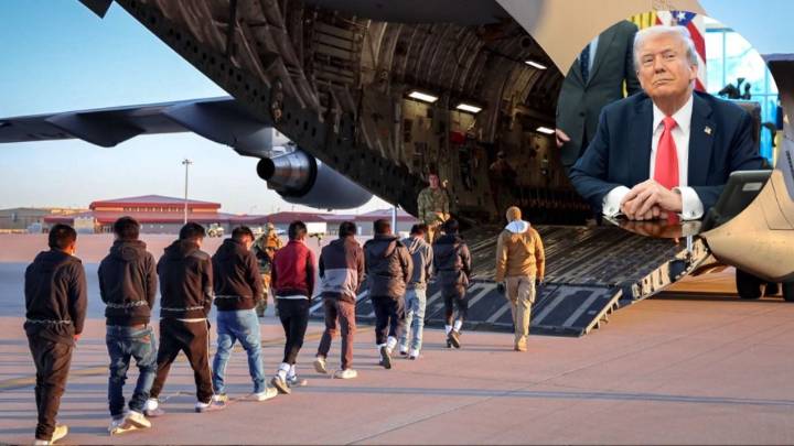 Cataluña declara emergencia sanitaria por brote de peste porcina africana